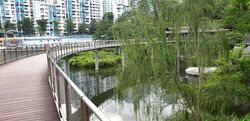 Blk 540 Panshan Grove (Bukit Panjang), HDB 5 Rooms #550407961